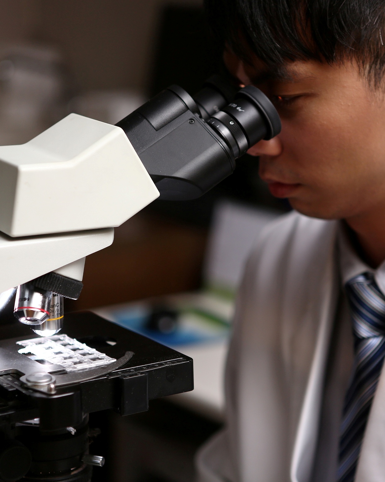 Laboratory